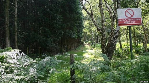 The future of nuclear&nbsp;power